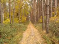 Буди з panoramio.com - Budy