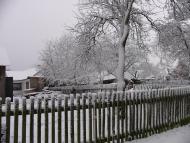 Карпи з panoramio.com