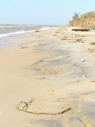 Рибацьке з panoramio.com