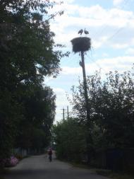 Шибене з panoramio.com