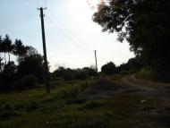 Максимівка з panoramio.com