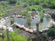 Дмитрівка з panoramio.com