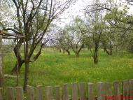 Веприн з panoramio.com