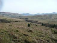 Явора з panoramio.com