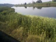 Малокатеринівка з panoramio.com