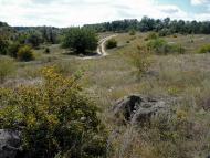 Раєво-Олександрівка з panoramio.com