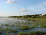 Свердлове з panoramio.com