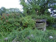 Клин з panoramio.com