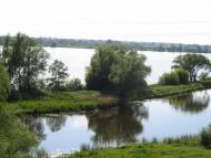 Дрозди з panoramio.com