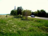 Мелекине з panoramio.com - Мелекино