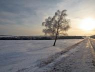 Бобрівка з panoramio.com