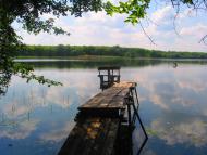 Придніпровське з panoramio.com