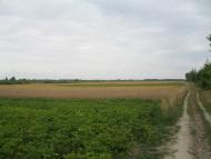 Хотешів з panoramio.com