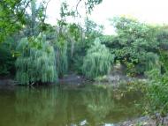 Анновка - Последние фото