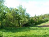 Мала Мочулка з panoramio.com