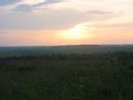 Грибовиця з panoramio.com