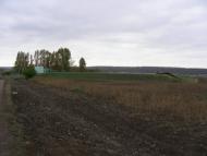 Вишневий Діл з panoramio.com