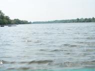 Вільнокур'янівське з panoramio.com