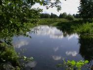 Заріччя з panoramio.com