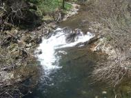 Зубриця з panoramio.com