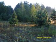 Заріччя з panoramio.com