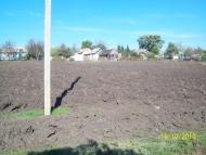 Воронівка з panoramio.com