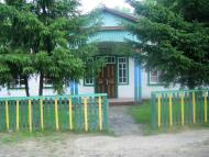 Верба з panoramio.com