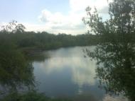 Голованівськ з panoramio.com