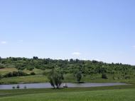 Водяники з panoramio.com