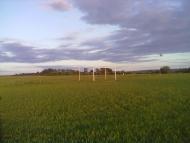 Панчищини з panoramio.com