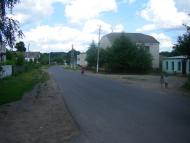 Верба з panoramio.com