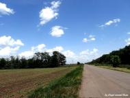 Свистунове з panoramio.com