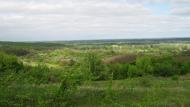 Журавне з panoramio.com