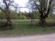 Осьмаки з panoramio.com