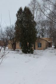 Яблуневе з panoramio.com