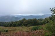 Сянки з panoramio.com - Сянки