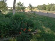 Дмитрівка з panoramio.com