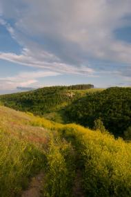 Кудринці з panoramio.com