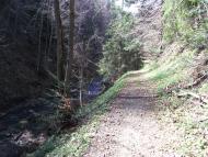 Зубриця з panoramio.com