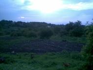 Голованівськ з panoramio.com