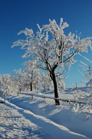 Красне з panoramio.com