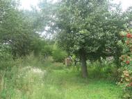 Петрівське з panoramio.com