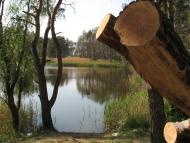 Леськи з panoramio.com - Леськи