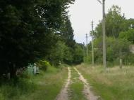 Медведівка - Останні фото