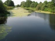 Лютенські Будища з panoramio.com