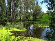 Велика Рогозянка - Останні фото