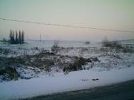 Базалія з panoramio.com