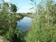 Сизе з panoramio.com