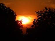 Оріхове з panoramio.com