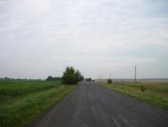 Шевченкове з panoramio.com